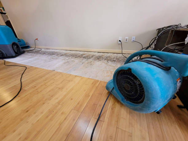 Reliable Burst Pipe Water Damage contractor in Baldwin, IL by Hirex Water Damage