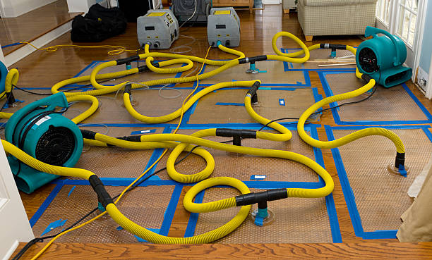 Professional Burst Pipe Water Damage technician working in Baldwin, IL